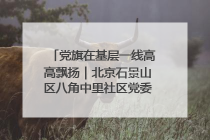 党旗在基层一线高高飘扬｜北京石景山区八角中里社区党委：用脚步丈量民生