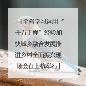 全省学习运用“千万工程”经验加快城乡融合发展推进乡村全面振兴现场会在上杭举行