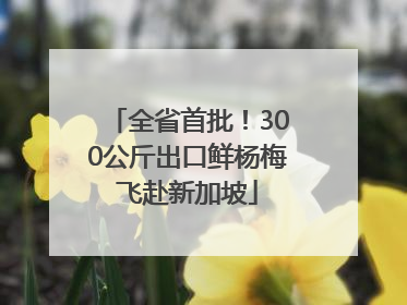 全省首批！300公斤出口鲜杨梅飞赴新加坡