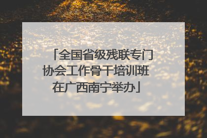 全国省级残联专门协会工作骨干培训班在广西南宁举办