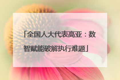 全国人大代表高亚：数智赋能破解执行难题