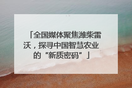 全国媒体聚焦潍柴雷沃，探寻中国智慧农业的“新质密码”