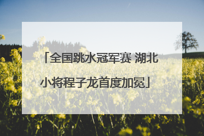 全国跳水冠军赛 湖北小将程子龙首度加冕