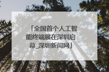 全国首个人工智能终端展在深圳启幕_深圳新闻网
