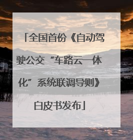 全国首份《自动驾驶公交“车路云一体化”系统联调导则》白皮书发布