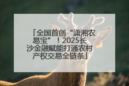 全国首创“潇湘农易宝”！2025长沙金融赋能打通农村产权交易全链条