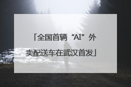 全国首辆“AI”外卖配送车在武汉首发