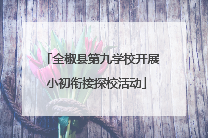 全椒县第九学校开展小初衔接探校活动