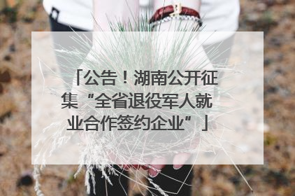 公告！湖南公开征集“全省退役军人就业合作签约企业”