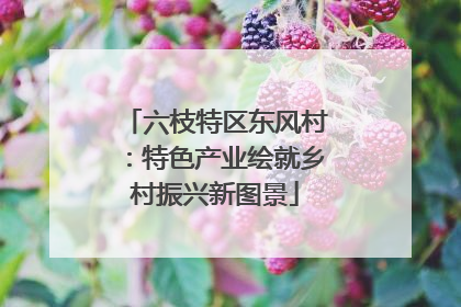 六枝特区东风村：特色产业绘就乡村振兴新图景