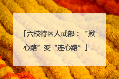 六枝特区人武部：“揪心路”变“连心路”