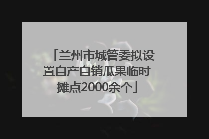 兰州市城管委拟设置自产自销瓜果临时摊点2000余个