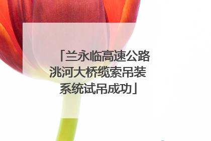 兰永临高速公路洮河大桥缆索吊装系统试吊成功