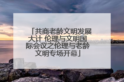 共商老龄文明发展大计 伦理与文明国际会议之伦理与老龄文明专场开幕