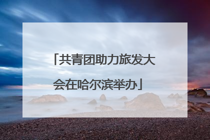 共青团助力旅发大会在哈尔滨举办