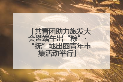 共青团助力旅发大会暨端午出“粽”·“抚”地出圈青年市集活动举行