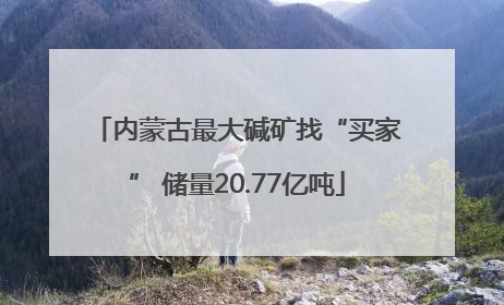内蒙古最大碱矿找“买家” 储量20.77亿吨