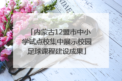 内蒙古12盟市中小学试点校集中展示校园足球课程建设成果