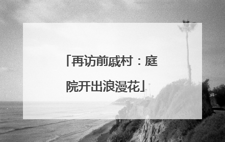 再访前戚村：庭院开出浪漫花
