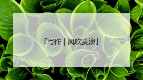 写作｜风吹麦浪