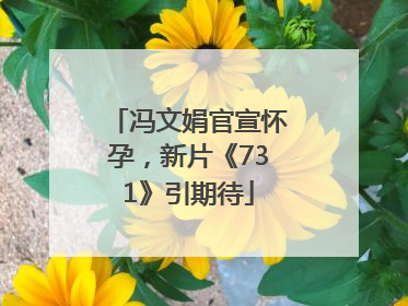 冯文娟官宣怀孕，新片《731》引期待