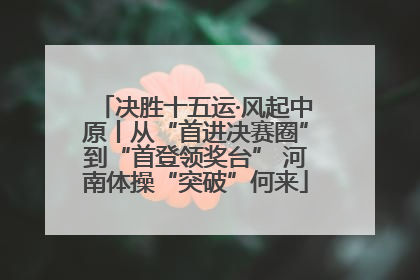决胜十五运·风起中原丨从“首进决赛圈”到“首登领奖台” 河南体操“突破”何来
