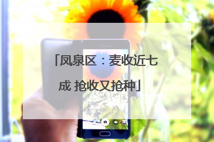 凤泉区：麦收近七成 抢收又抢种