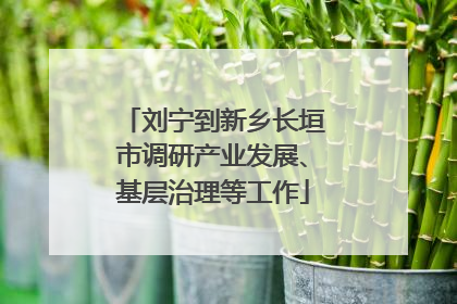刘宁到新乡长垣市调研产业发展、基层治理等工作