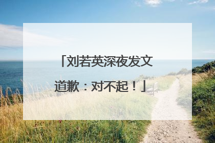 刘若英深夜发文道歉：对不起！