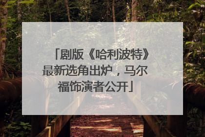 剧版《哈利波特》最新选角出炉，马尔福饰演者公开