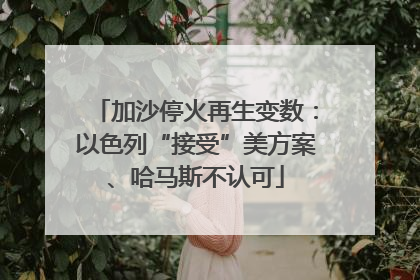 加沙停火再生变数：以色列“接受”美方案、哈马斯不认可