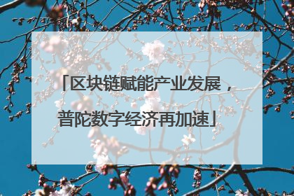 区块链赋能产业发展，普陀数字经济再加速