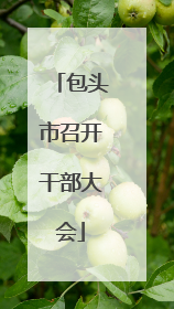 包头市召开干部大会