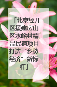 北京经开区援建房山区水峪村精品民宿项目打造“乡愁经济”新标杆
