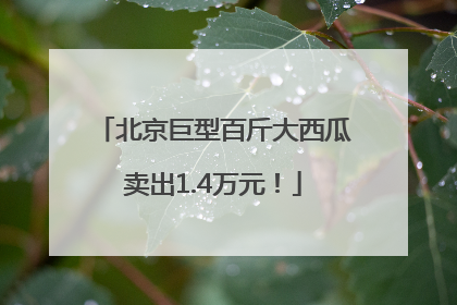 北京巨型百斤大西瓜卖出1.4万元！