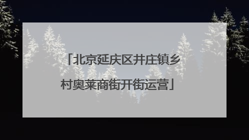 北京延庆区井庄镇乡村奥莱商街开街运营