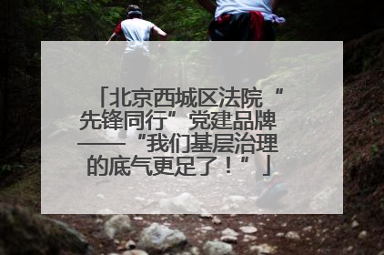 北京西城区法院“先锋同行”党建品牌——“我们基层治理的底气更足了！”