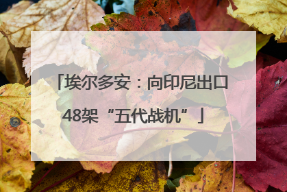 埃尔多安：向印尼出口48架“五代战机”