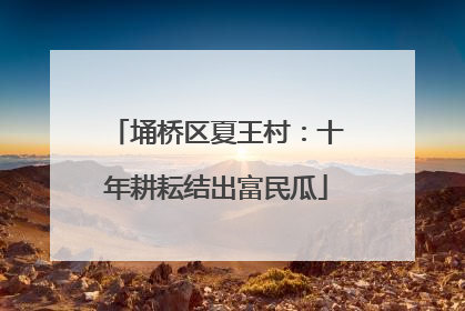 埇桥区夏王村：十年耕耘结出富民瓜