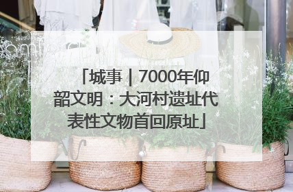 城事｜7000年仰韶文明：大河村遗址代表性文物首回原址