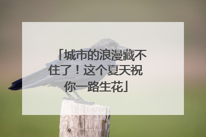 城市的浪漫藏不住了！这个夏天祝你一路生花