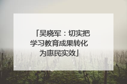吴晓军：切实把学习教育成果转化为惠民实效