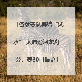 各参赛队集结“试水” 太原汾河龙舟公开赛30日揭幕