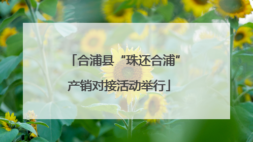 合浦县“珠还合浦”产销对接活动举行