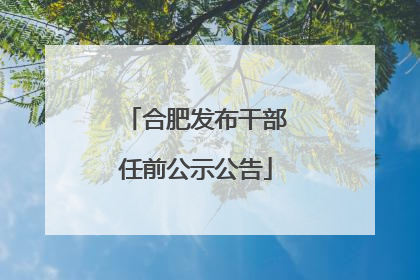 合肥发布干部任前公示公告