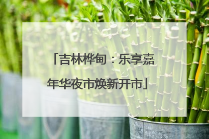 吉林桦甸：乐享嘉年华夜市焕新开市