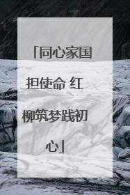 同心家国担使命 红柳筑梦践初心