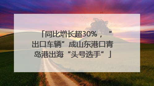同比增长超30%，“出口车辆”成山东港口青岛港出海“头号选手”