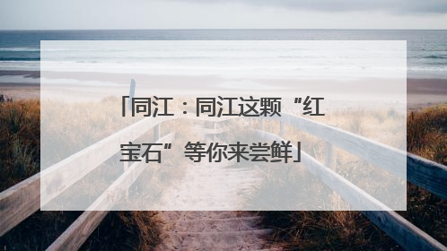 同江：同江这颗“红宝石”等你来尝鲜