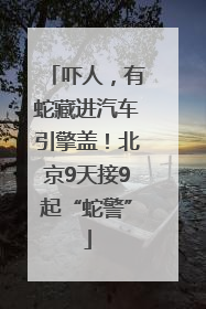 吓人，有蛇藏进汽车引擎盖！北京9天接9起“蛇警”